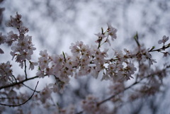 25.03.29 ③