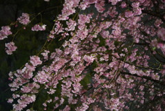 23.03.26 ①