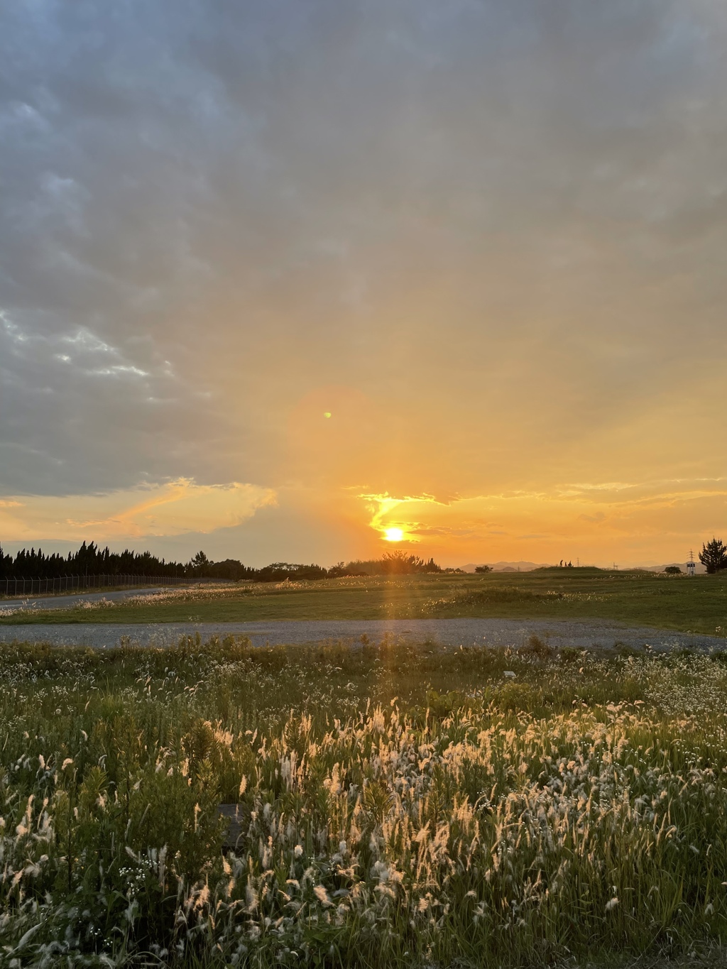 夕日と秋のコラボレーション