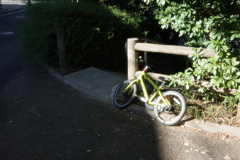 陽だまりの自転車