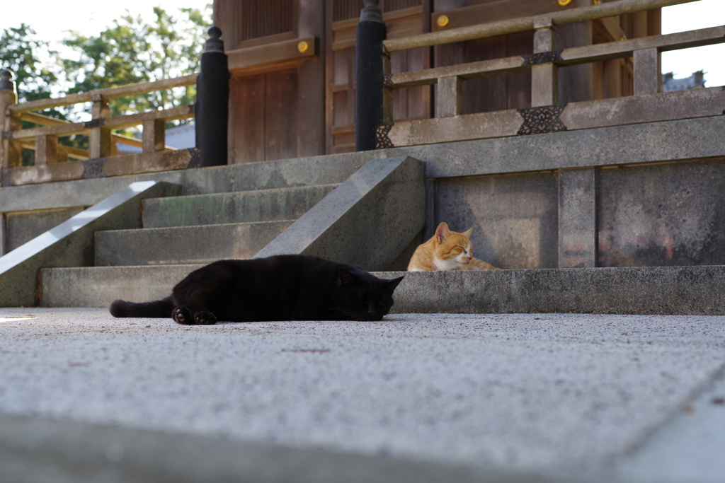 ゆっくりお昼寝