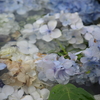 R0000492