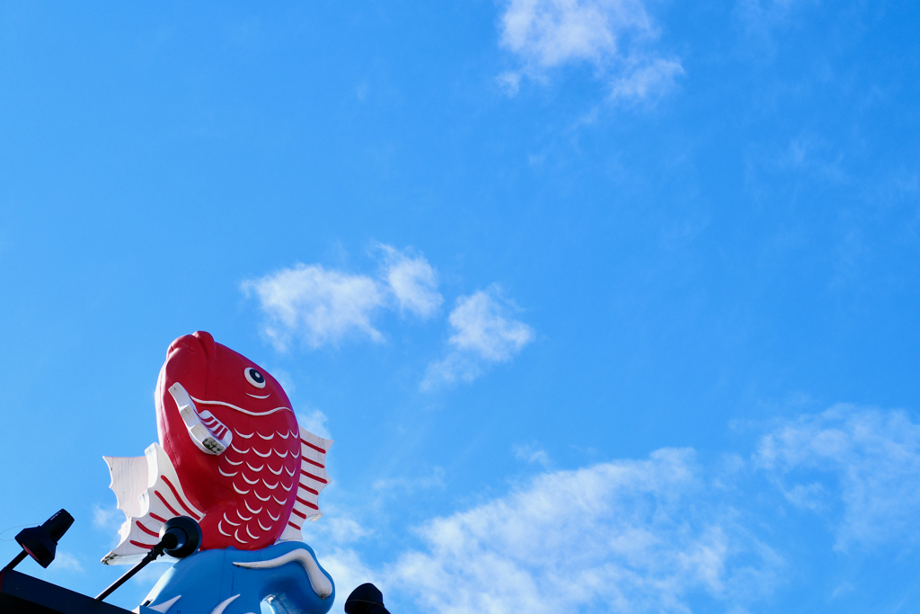 空に憧れる