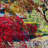 紅葉と庭園