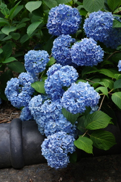 R0000493