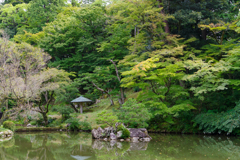 兼六園1
