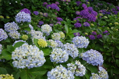 R0000511