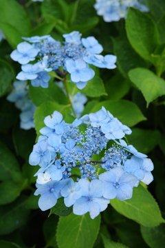 R0000495