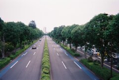 写ルンですにて