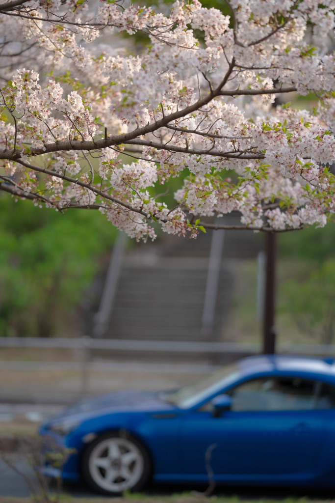 青い車