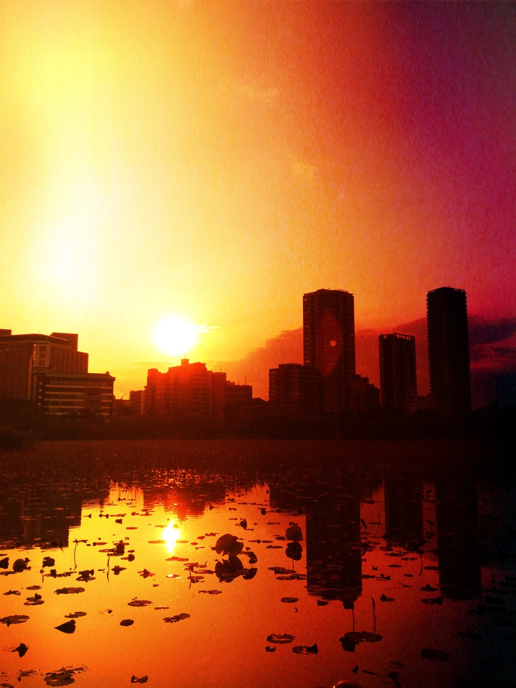 あの日見た、夕焼