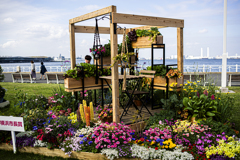 Flower Garden