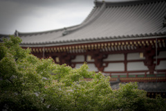 平等院鳳凰堂にて