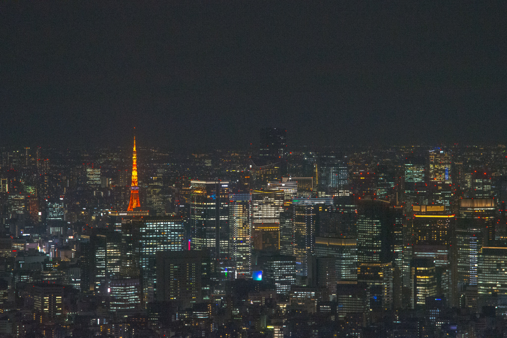 東京タワー スカイツリーから望む
