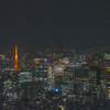 東京タワー スカイツリーから望む