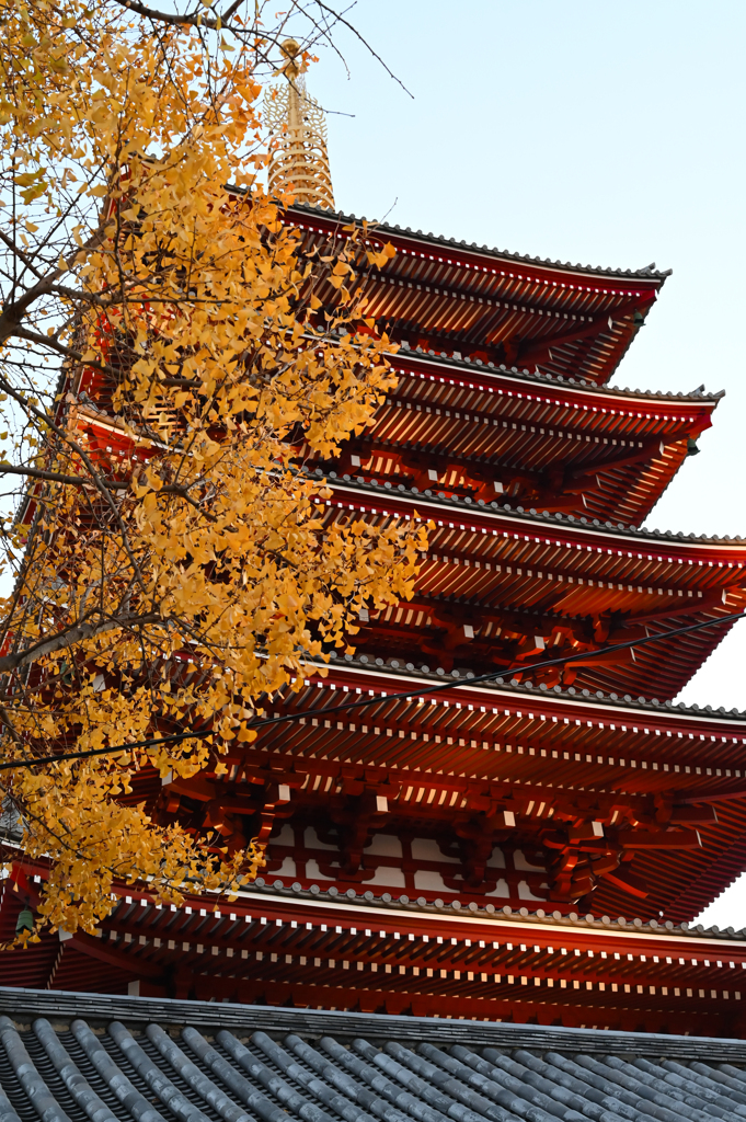 浅草寺 五重塔
