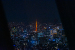 スカイツリーから東京タワー