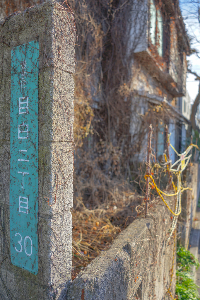 誰が住んでいたんだろう？廃墟