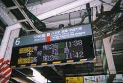 写ルンですにて
