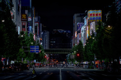 サイバーパンクな秋葉原