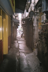 写ルンですにて