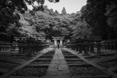 萩