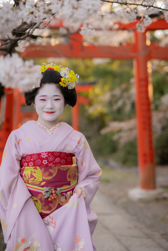 桜、さくら、サクラ
