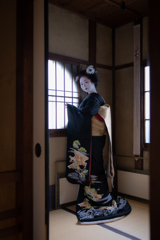 そして蛹は蝶になる