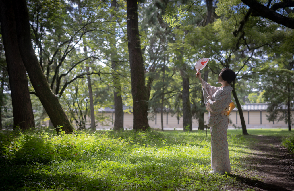 夏の日