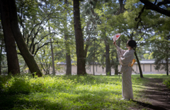夏の日