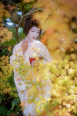 紅葉に抱かれて