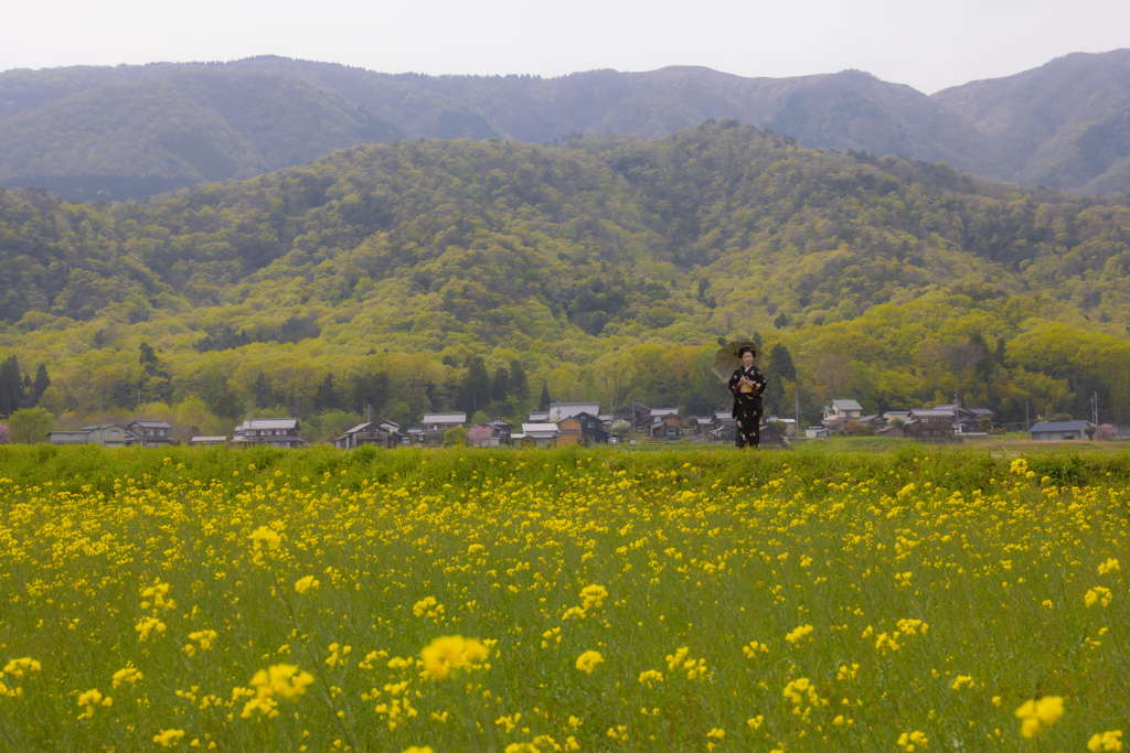 山笑う、花笑う