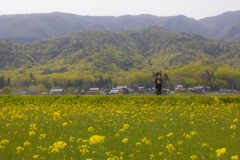 山笑う、花笑う