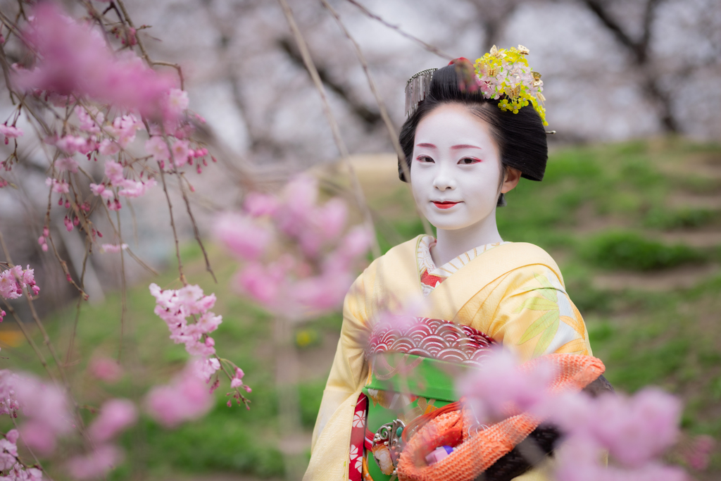 ある春の日