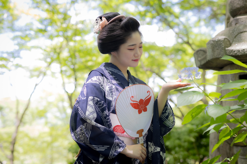 残り紫陽花