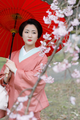 桜よ桜