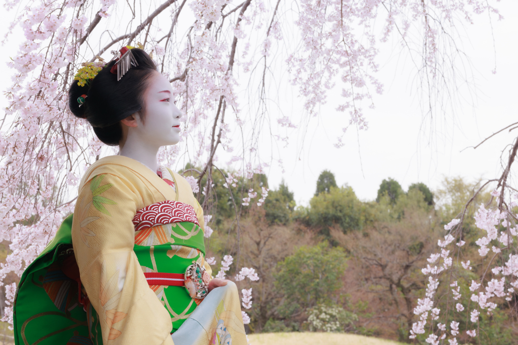 春爛漫