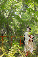 新緑の杜