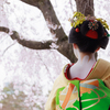 桜の木の下で