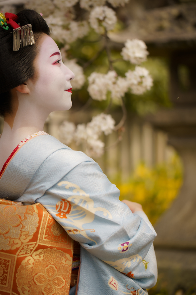 春の風