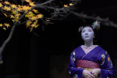 晩秋の影