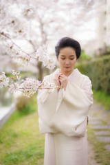 春の伏見