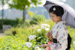 琵琶湖慕情