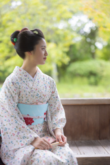 八坂の杜
