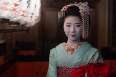 観亀の子供たちⅡ