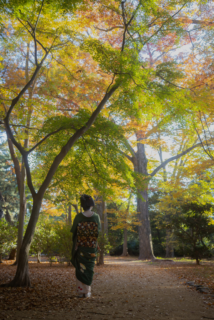 神様からの贈り物