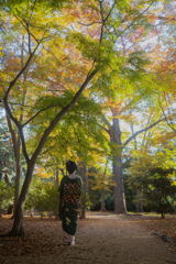 神様からの贈り物