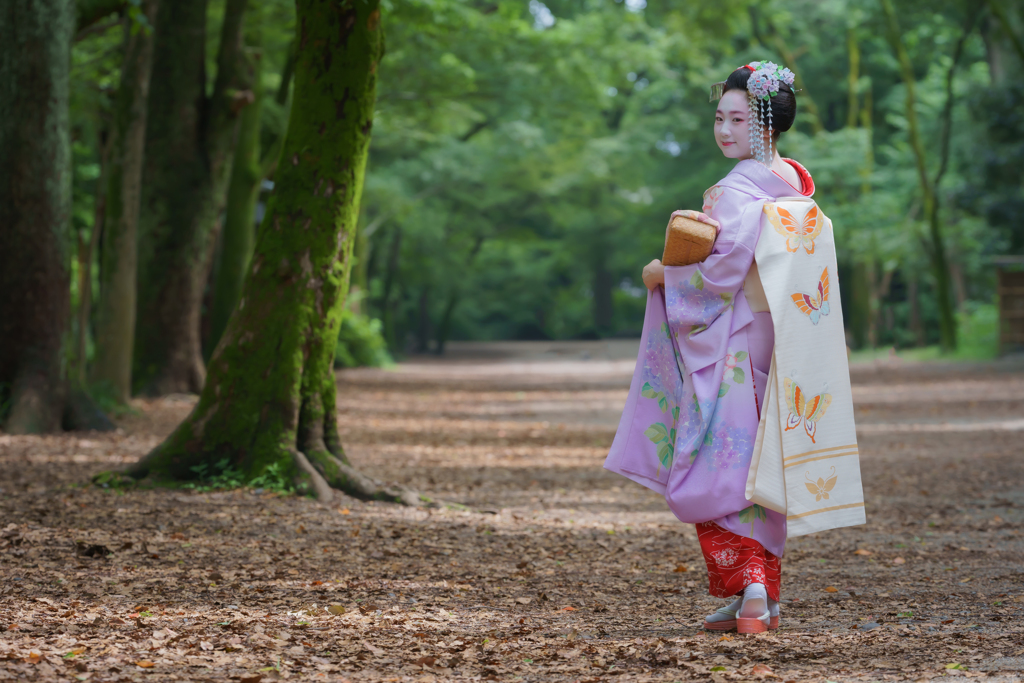 糺の森