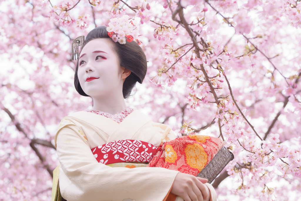 桜、さくら