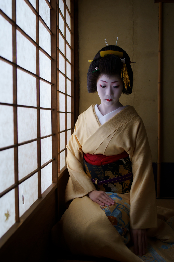 色紋付き